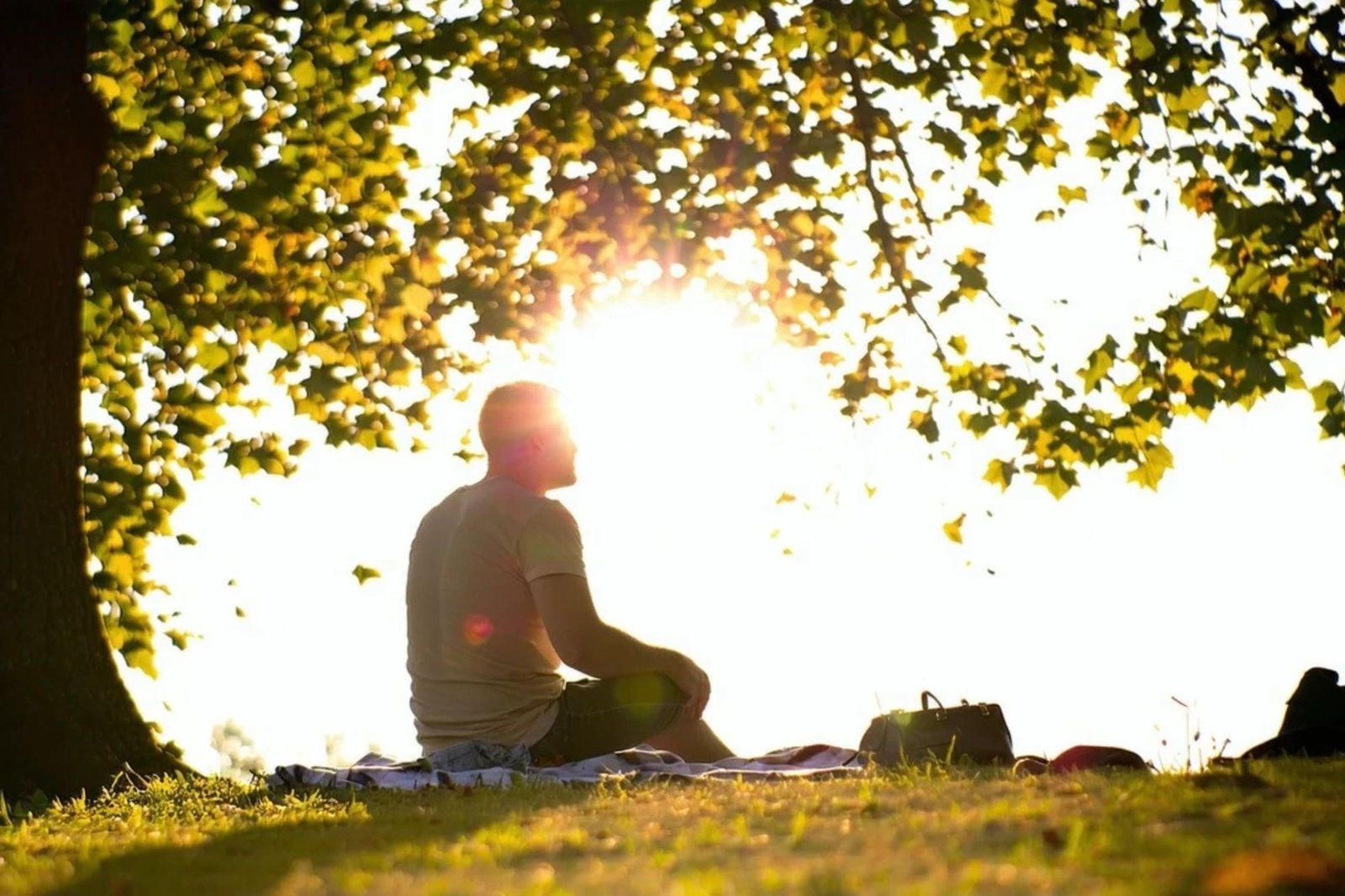The Science of Gratitude: Strengthening Your Mental Health from Within